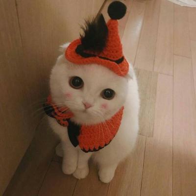 15101017_12.jpg