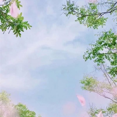 个性小清新的壁纸图片