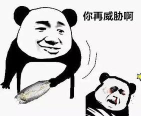 金馆长熊猫表情,qq表情包中的经典