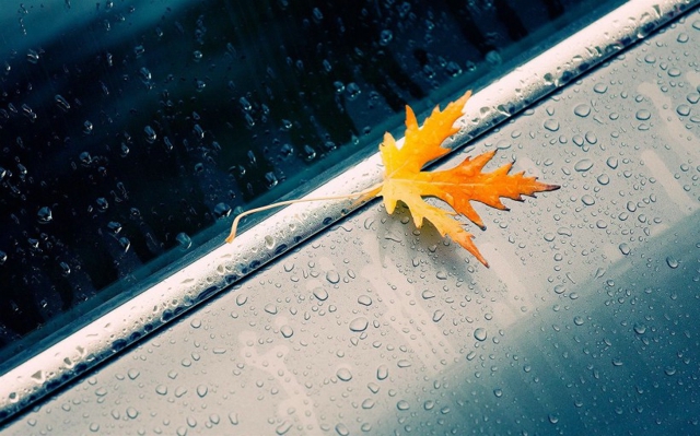 伤感的下雨图片一个人一把伞一条路自己走