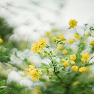 女人用什么微信头像好?这样的头像才适合!
