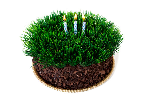 生日蛋糕图片祝你生日快乐