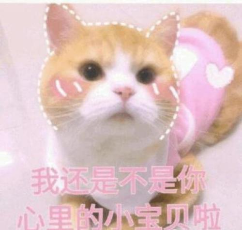 超萌表情包 撒娇撩男朋友的萌表情包