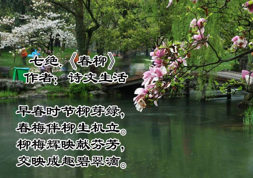 描写花的句子太多了,几天几夜也写不完