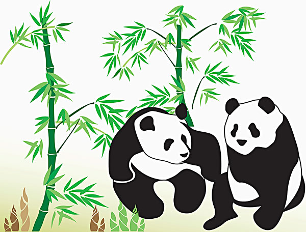 清新淡雅竹子图片素材大全