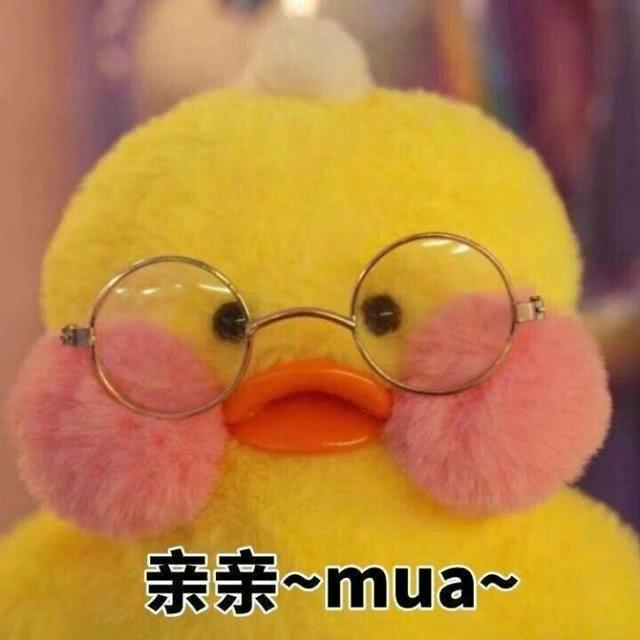 网红玻尿酸鸭呆萌表情包 女生最爱