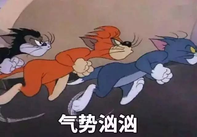 这是最全的猫和老鼠表情包 快来抱走吧