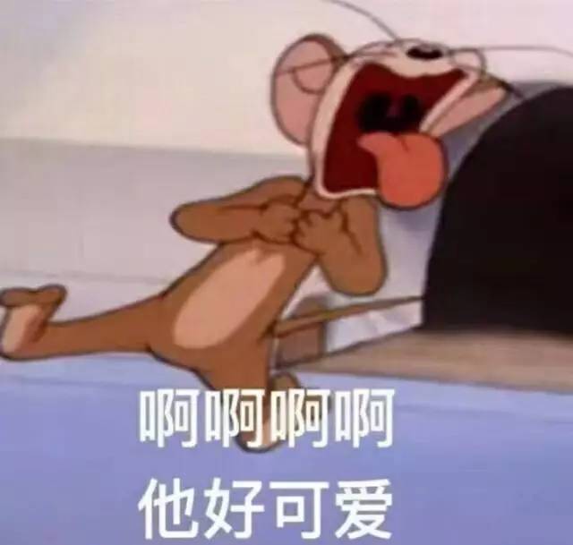 这是最全的猫和老鼠表情包 快来抱走吧