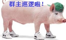 群聊专用qq表情—搞笑群主qq表情图片