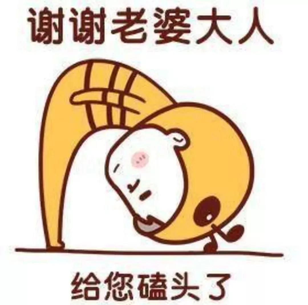 情侣恩爱斗图表情 抖音超火情侣表情包