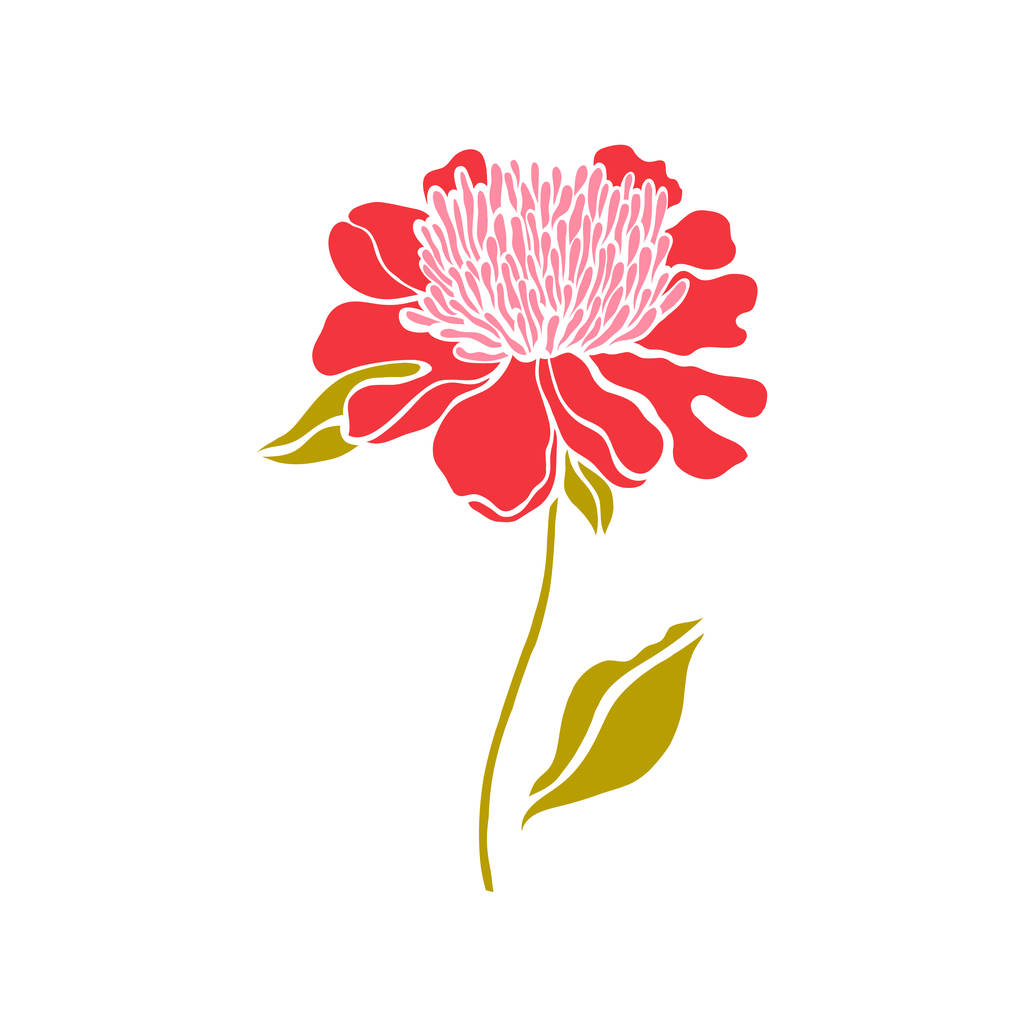 芍药花图片浪漫多情的爱情之花