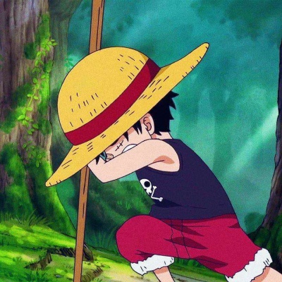 我要成为海贼王的女人