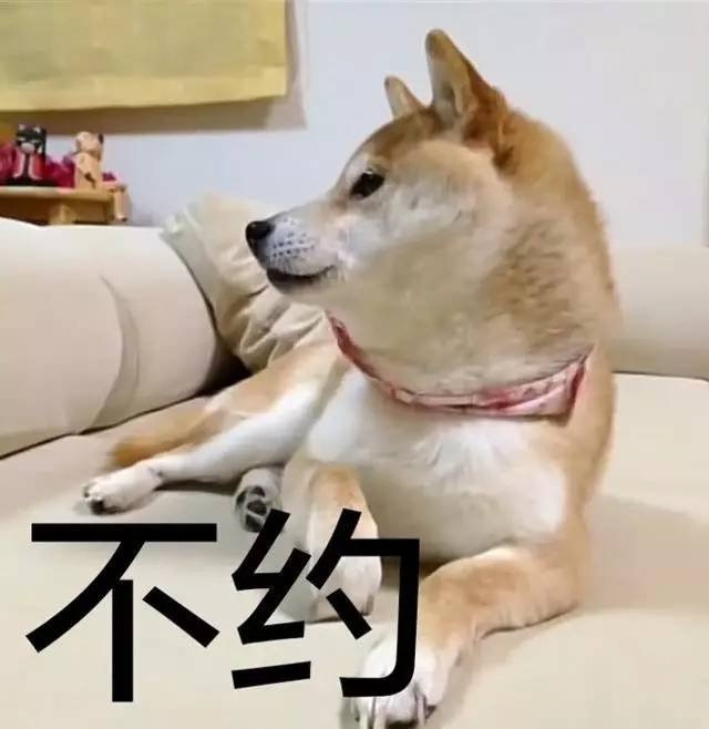 最新狗狗情侣风骚表情包撒狗粮情侣互撩表情包