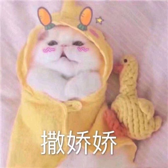 撩男朋友撒娇卖萌表情包 2019超萌哄男朋友的表情包
