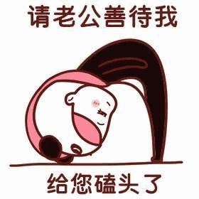 老公老婆日常聊天表情包 情侣必备聊天神器 - 【可爱