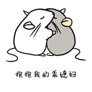 两只老鼠微信表情包 情侣必备恩爱表情图片