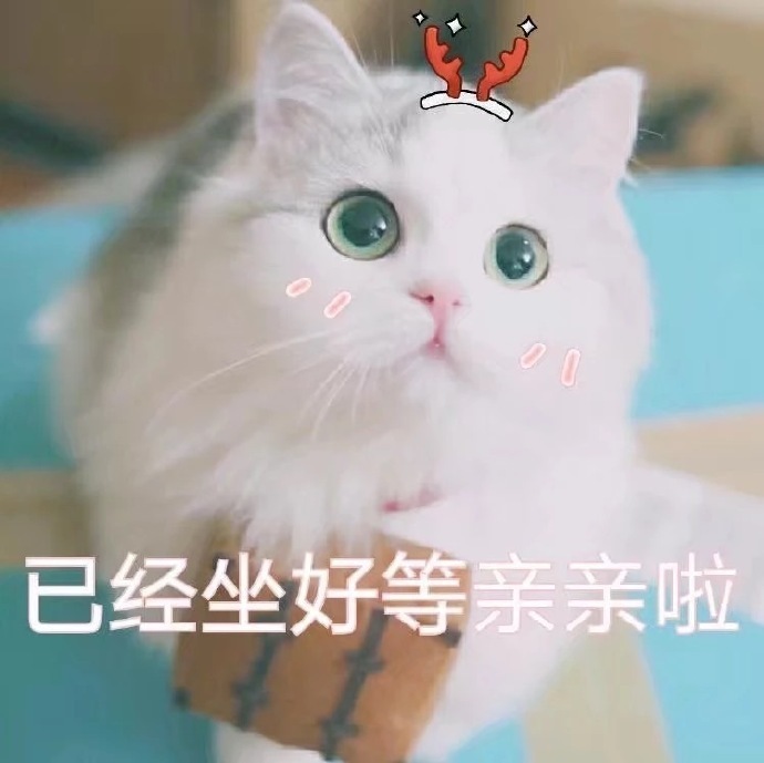 超可爱猫咪撒娇表情包撒个娇萌死你