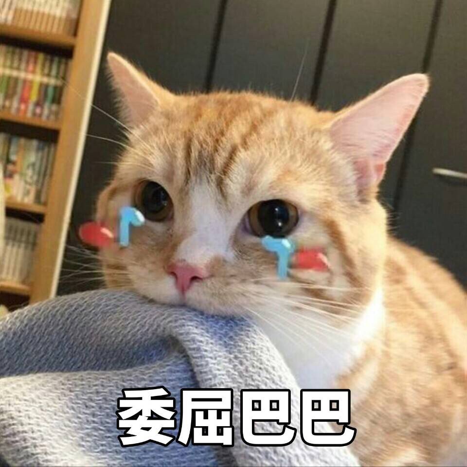 超可爱猫咪撒娇表情包撒个娇萌死你