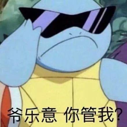 憨批表情包大全杰尼龟憨批可爱表情包