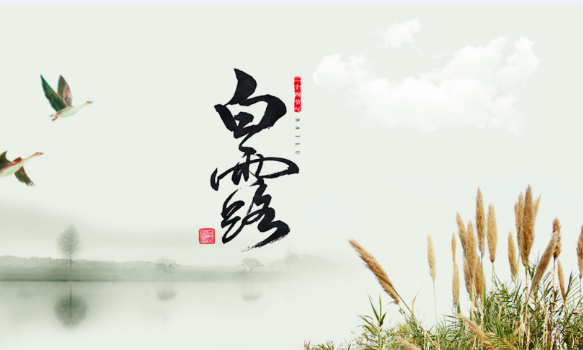 2019白露高清图片 二十四节气白露图片设计素材