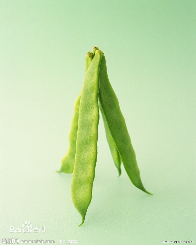 扁豆图片 扁豆是一种药食两用植物