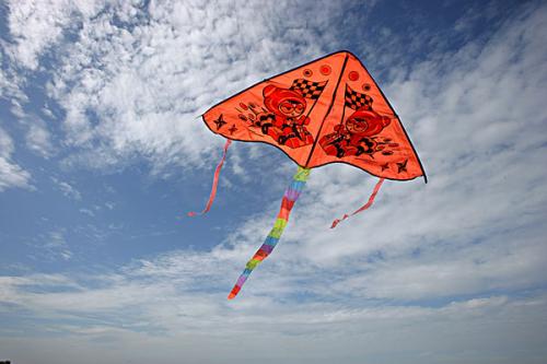 中国传统风筝图画画片大全