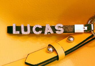 lucas是什么意思 lucas双语例句用法